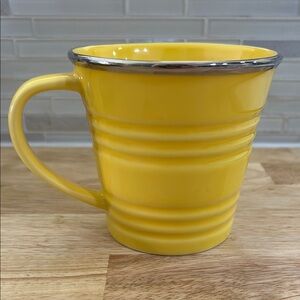 Starbucks 2007 Bucket Mug with Silver Rim